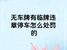 临时号牌违章了会处罚吗怎么处理的