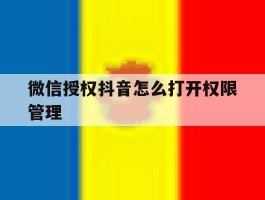 包含微信授权抖音怎么打开权限管理的词条