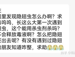 短信接码平台注册qq号有风险吗知乎