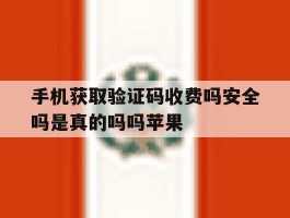 手机获取验证码收费吗安全吗是真的吗吗苹果的简单介绍