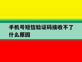 手机号短信验证码接收不了什么原因