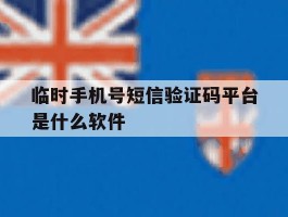 临时手机号短信验证码平台是什么软件