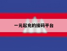 一元起充的接码平台
