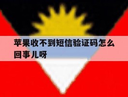 苹果收不到短信验证码怎么回事儿呀