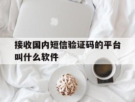 接收国内短信验证码的平台叫什么软件