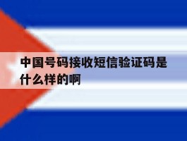 中国号码接收短信验证码是什么样的啊