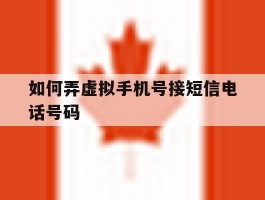 如何弄虚拟手机号接短信电话号码