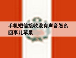 手机短信接收没有声音怎么回事儿苹果