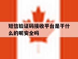 短信验证码接收平台是干什么的呢安全吗