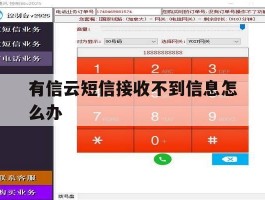 有信云短信接收不到信息怎么办