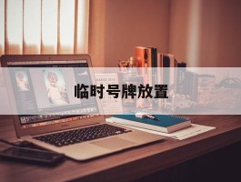 临时号牌放置