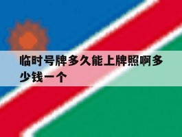 临时号牌多久能上牌照啊多少钱一个
