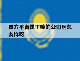 四方平台是干嘛的公司啊怎么样呀的简单介绍