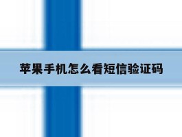 苹果手机怎么看短信验证码