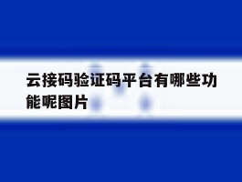 云接码验证码平台有哪些功能呢图片