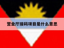 营业厅接码项目是什么意思