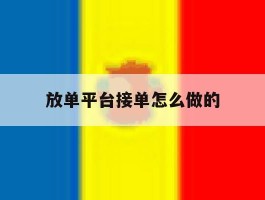 放单平台接单怎么做的