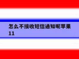 怎么不接收短信通知呢苹果11