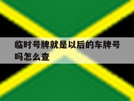 临时号牌就是以后的车牌号吗怎么查