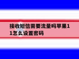 接收短信需要流量吗苹果11怎么设置密码