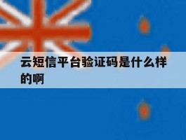云短信平台验证码是什么样的啊