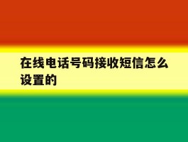 在线电话号码接收短信怎么设置的