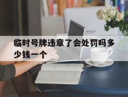 临时号牌违章了会处罚吗多少钱一个
