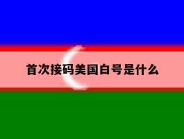 首次接码美国白号是什么