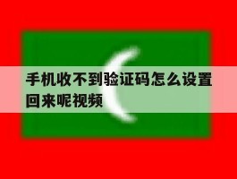 手机收不到验证码怎么设置回来呢视频