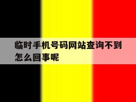 临时手机号码网站查询不到怎么回事呢
