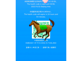 英国手机接码