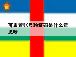可重置账号验证码是什么意思呀
