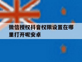 微信授权抖音权限设置在哪里打开呢安卓