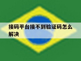 接码平台接不到验证码怎么解决