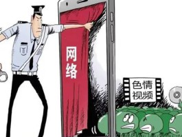 代理平台传播淫秽犯法吗判几年的简单介绍