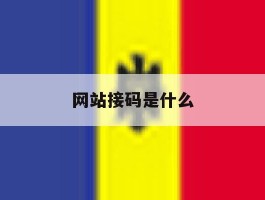 网站接码是什么