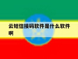 云短信接码软件是什么软件啊