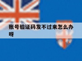 账号验证码发不过来怎么办呀
