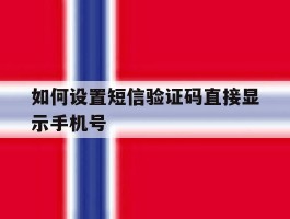 如何设置短信验证码直接显示手机号