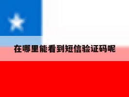 在哪里能看到短信验证码呢