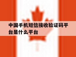 中国手机短信接收验证码平台是什么平台