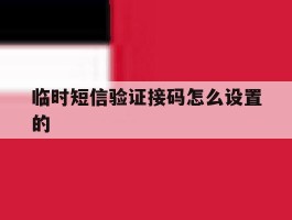 临时短信验证接码怎么设置的