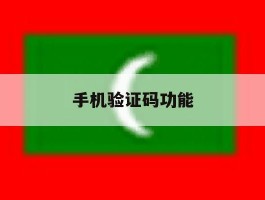 手机验证码功能