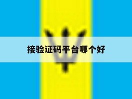 接验证码平台哪个好