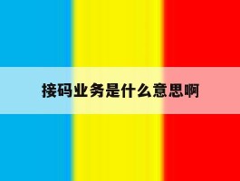 接码业务是什么意思啊