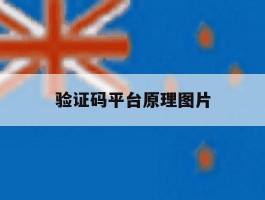 验证码平台原理图片