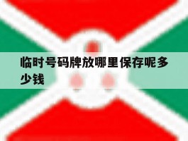 临时号码牌放哪里保存呢多少钱