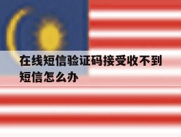 在线短信验证码接受收不到短信怎么办