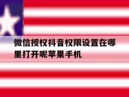 关于微信授权抖音权限设置在哪里打开呢苹果手机的信息