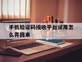 手机验证码接收平台试用怎么弄回来